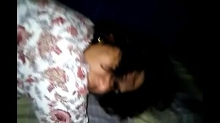 ���িশাল গাধা